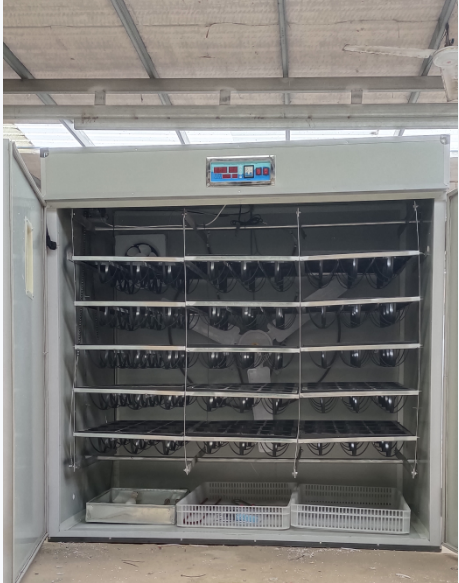 Quail Egg Incubator - Incubadora de Ovos Totalmente Automática com