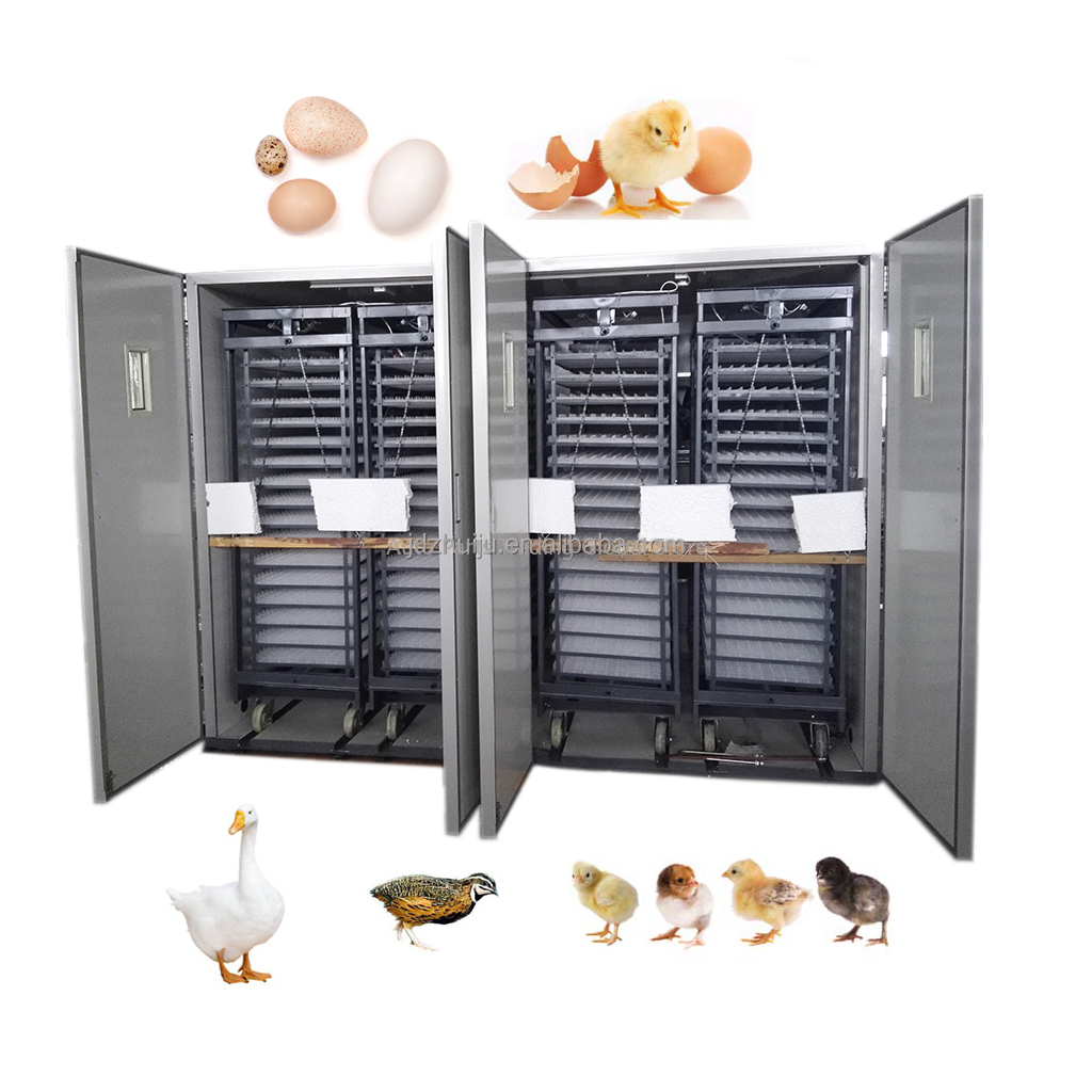 Quail Egg Incubator - Incubadora de ovos de grande capacidade