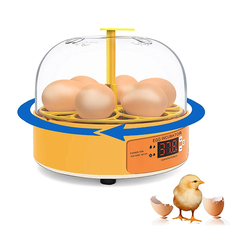 Quail Egg Incubator - Incubadora de Ovos Automática para Galinhas,