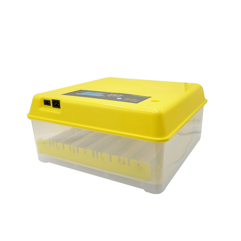 Quail Egg Incubator - Incubadora Automática de Ovos, Chocadeira de