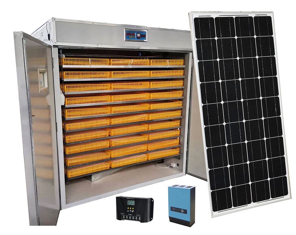 Quail Egg Incubator - Máquinas para Pequenas Empresas: Incubadoras de
