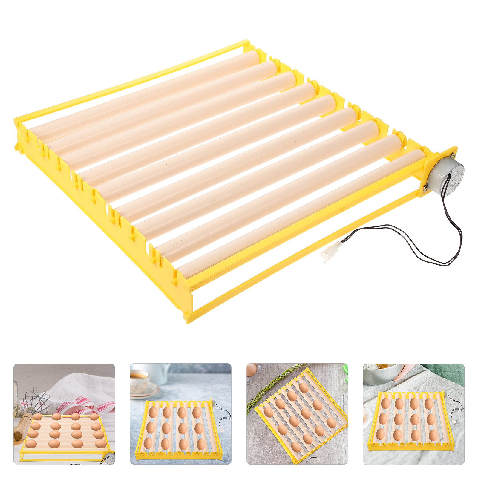 Quail Egg Incubator - Bandeja automática para ovos de galinha,