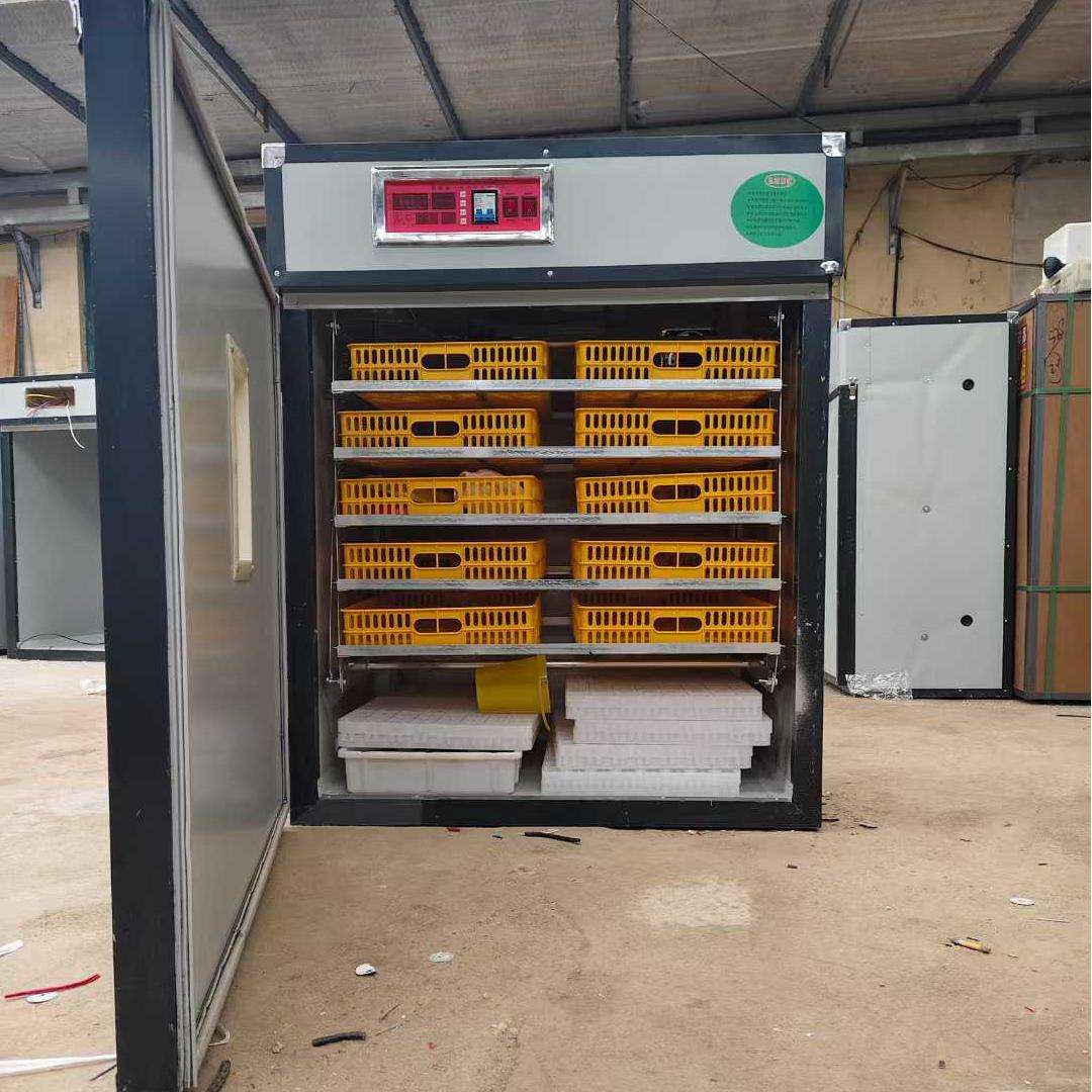 Incubadora de Ovos Totalmente  - Quail Egg Incubator avaliação e preço