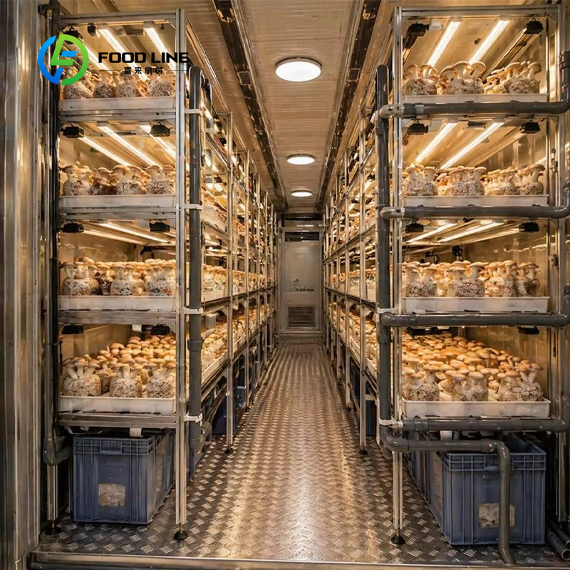Fazenda Modular em Contêiner p - Agriculture Vertical Farming avaliação e preço