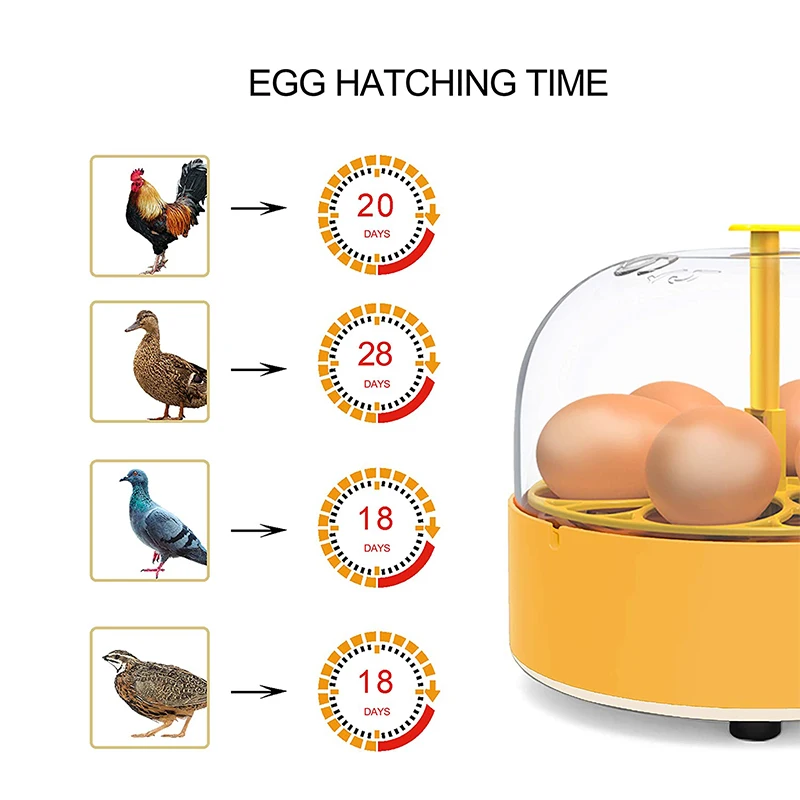 Incubadora de Ovos Automática  - Quail Egg Incubator avaliação e preço