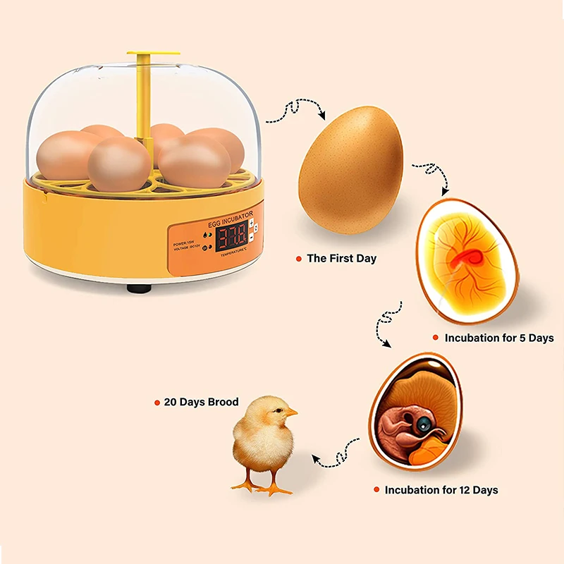 Incubadora de Ovos Automática  - Quail Egg Incubator avaliação e preço