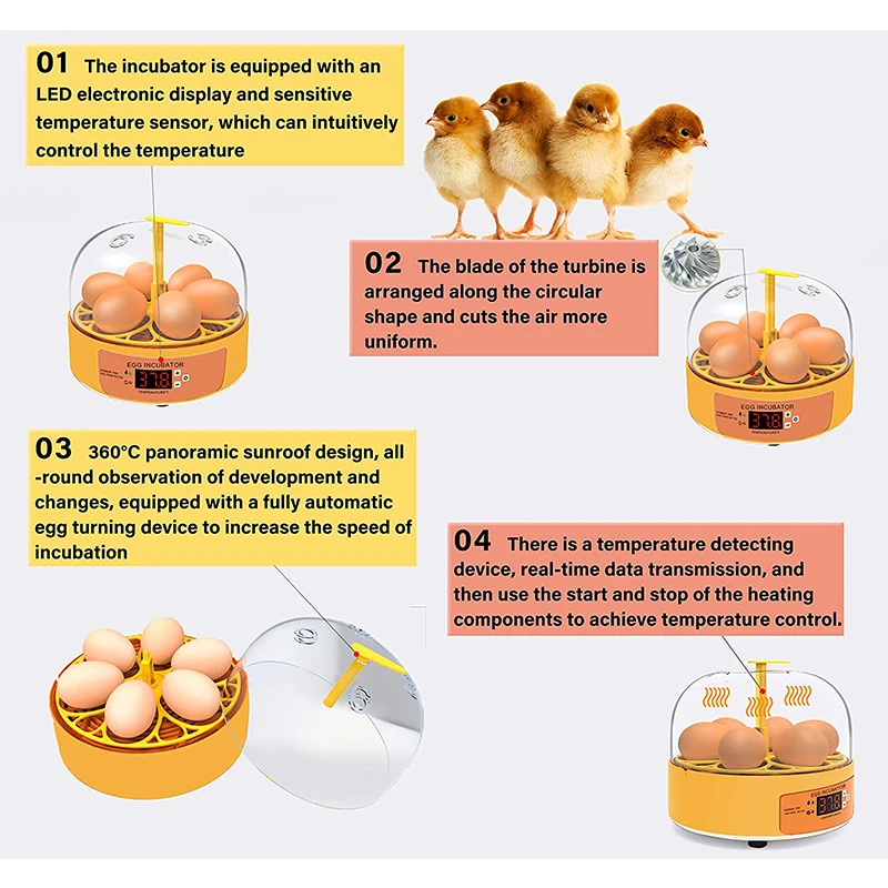 Incubadora de Ovos Automática  - Quail Egg Incubator avaliação e preço