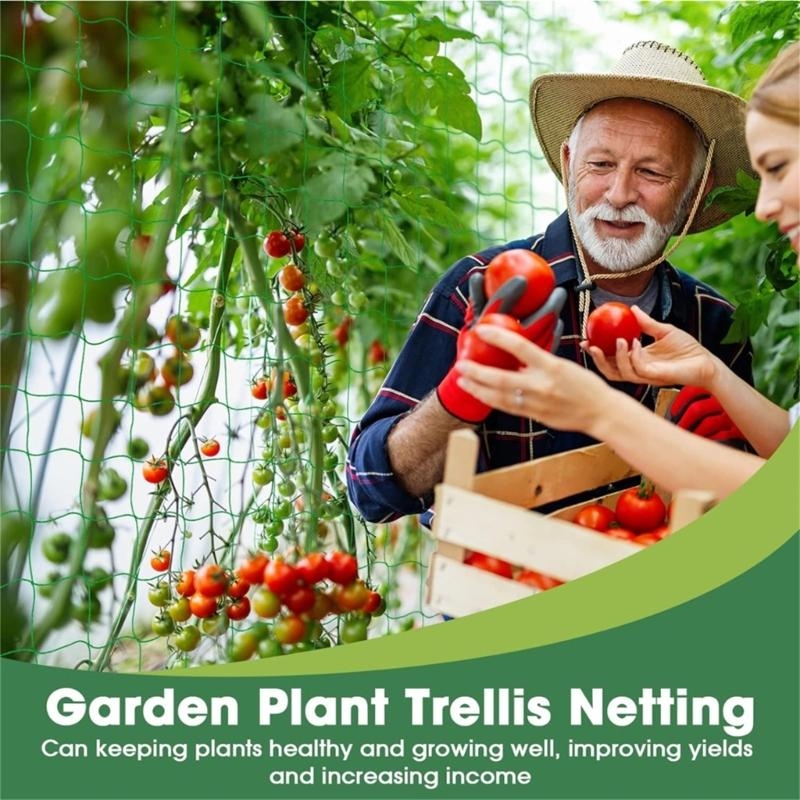 suporte plantas treliça jardim - Agriculture Farming Net avaliação e preço