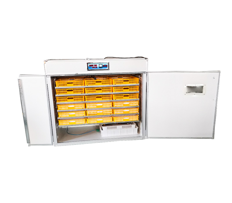Controlador para Incubadora de - Quail Egg Incubator avaliação e preço