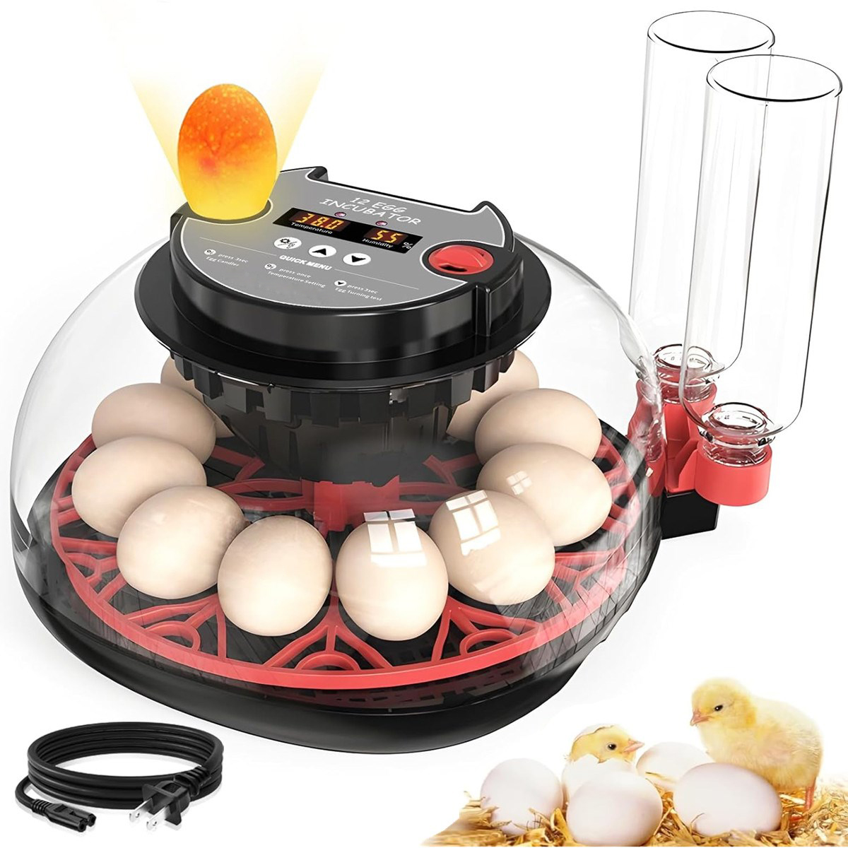 Incubadora de 12 Ovos com Vira - Quail Egg Incubator avaliação e preço