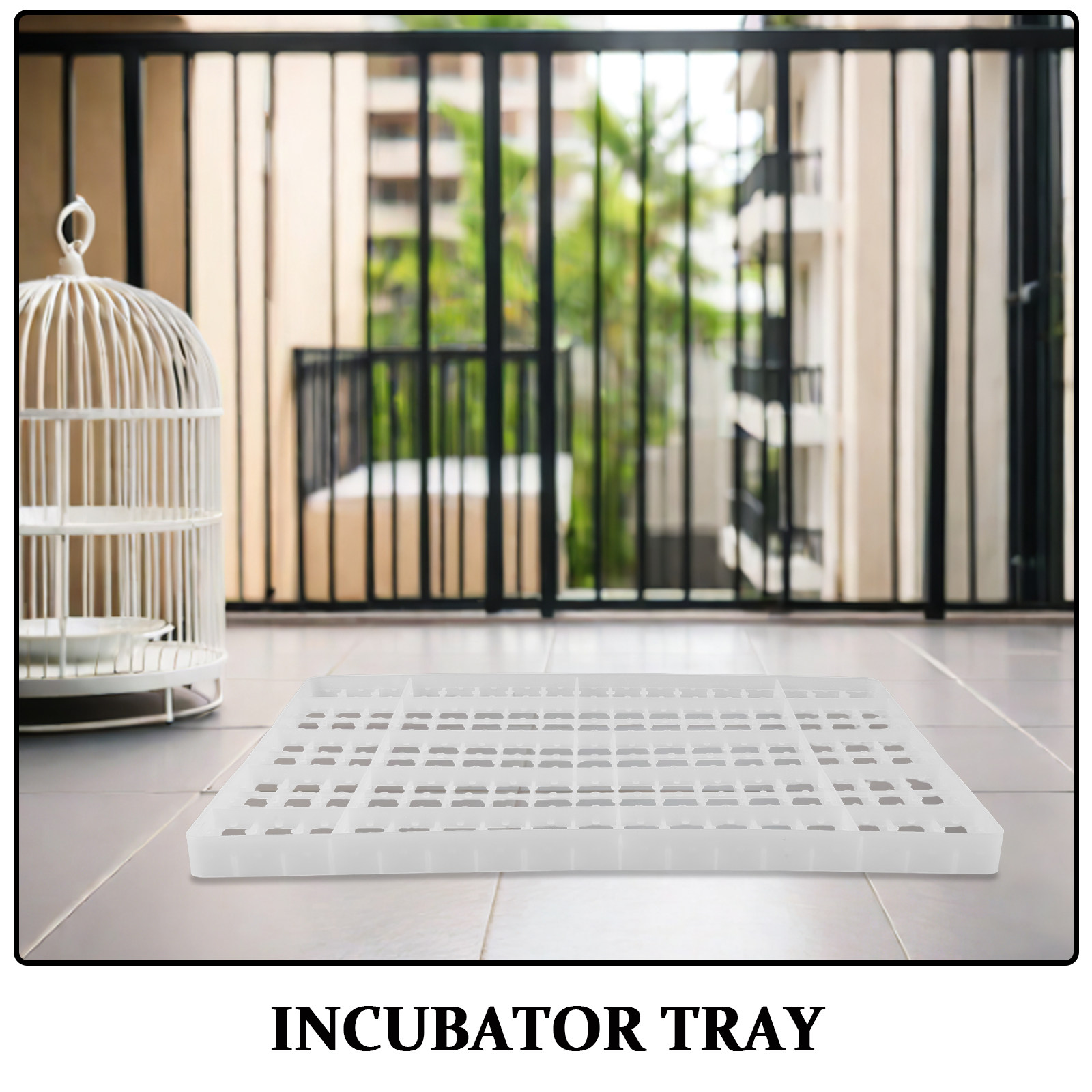 2 Bandejas para Incubadora de  - Quail Egg Incubator avaliação e preço