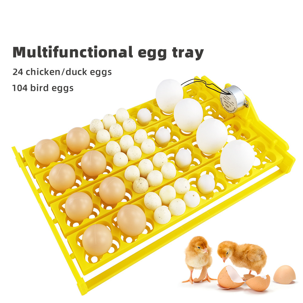 Bandeja incubadora de ovos aut - Quail Egg Incubator avaliação e preço