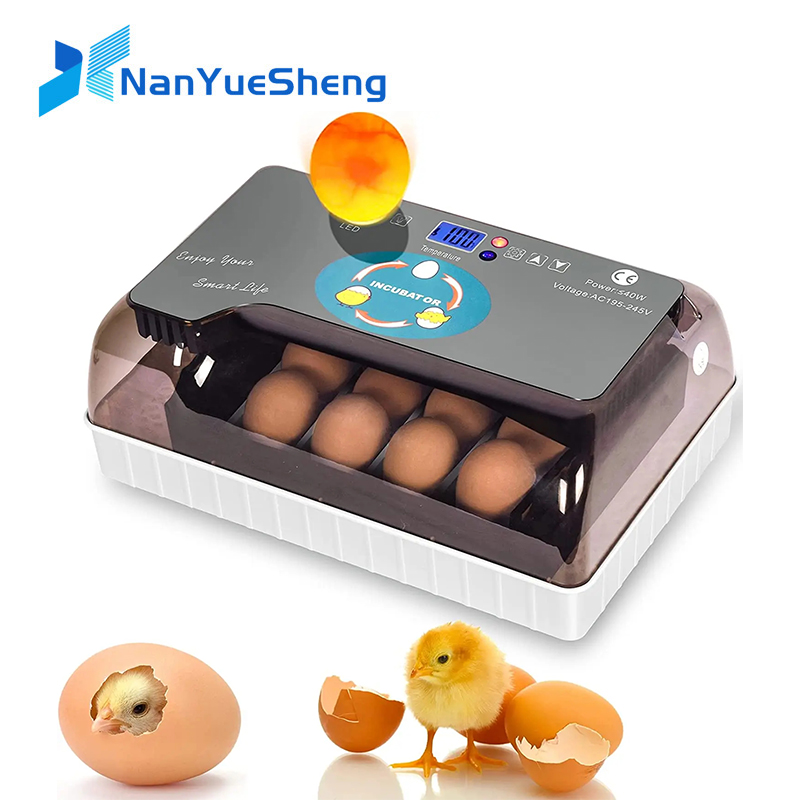 Hhd automático melhor digital  - Quail Egg Incubator avaliação e preço