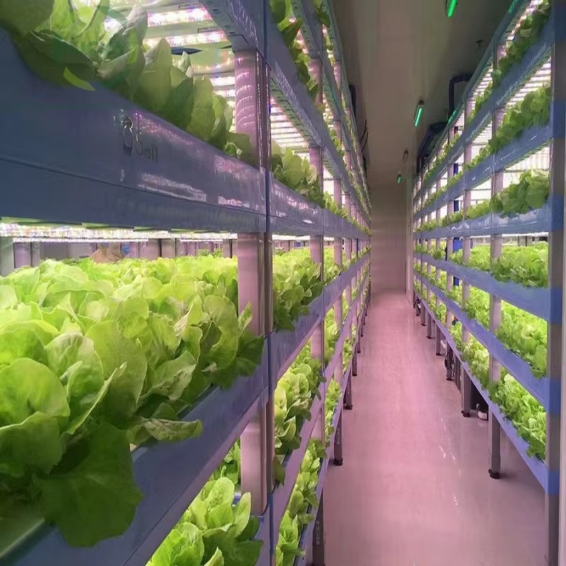 Sistema de Contêineres Hidropô - Agriculture Vertical Farming avaliação e preço