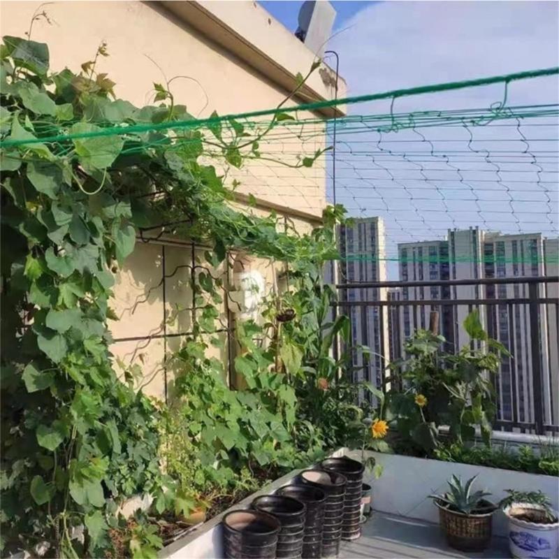 treliça para plantas 62kd, par - Agriculture Farming Net avaliação e preço