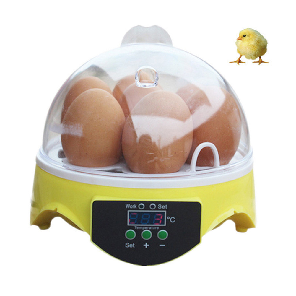 Incubadora de 7 Ovos para Aves - Quail Egg Incubator avaliação e preço