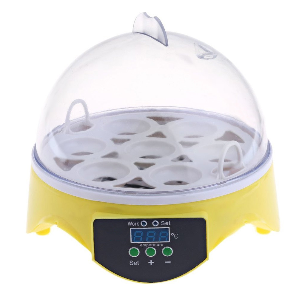 Incubadora de 7 Ovos para Aves - Quail Egg Incubator avaliação e preço