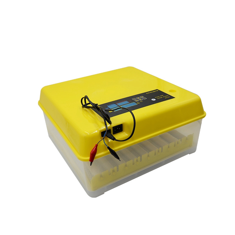 Incubadora Automática de Ovos, - Quail Egg Incubator avaliação e preço