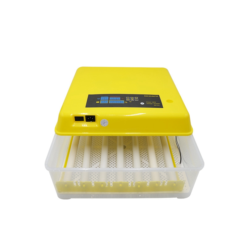 Incubadora Automática de Ovos, - Quail Egg Incubator avaliação e preço