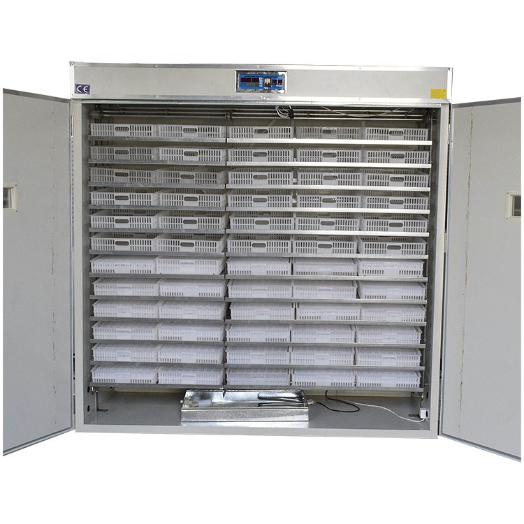 Máquinas para Pequenas Empresa - Quail Egg Incubator avaliação e preço
