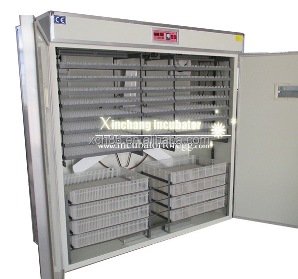 Máquinas para Pequenas Empresa - Quail Egg Incubator avaliação e preço