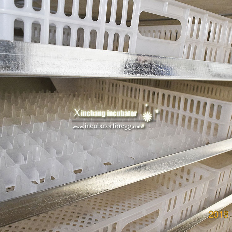 Máquinas para Pequenas Empresa - Quail Egg Incubator avaliação e preço