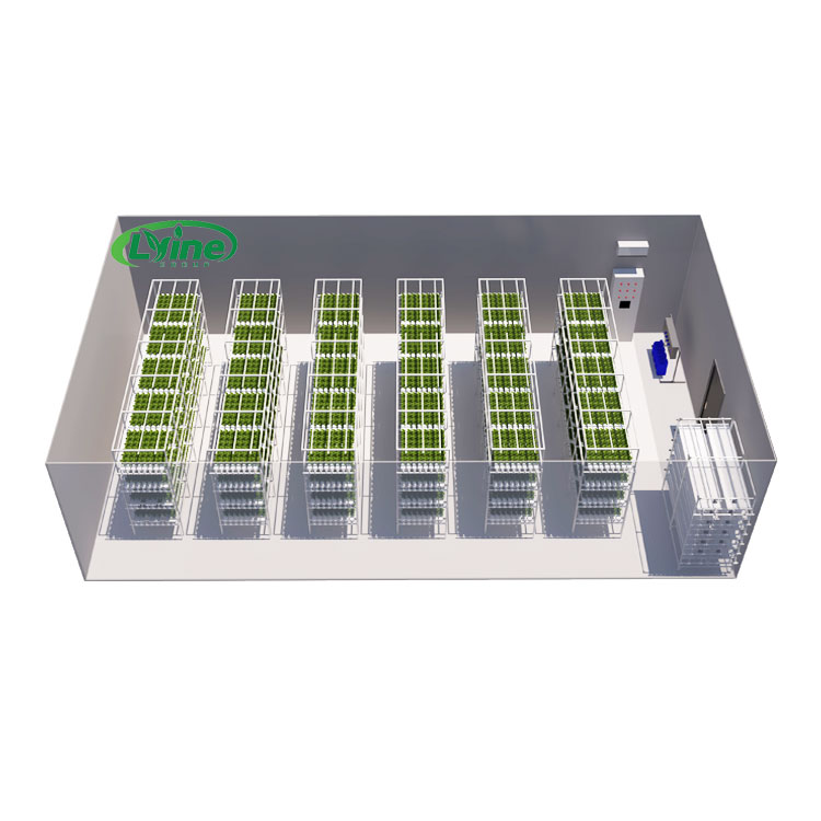 Estufas agrícolas alface nft s - Agriculture Vertical Farming avaliação e preço