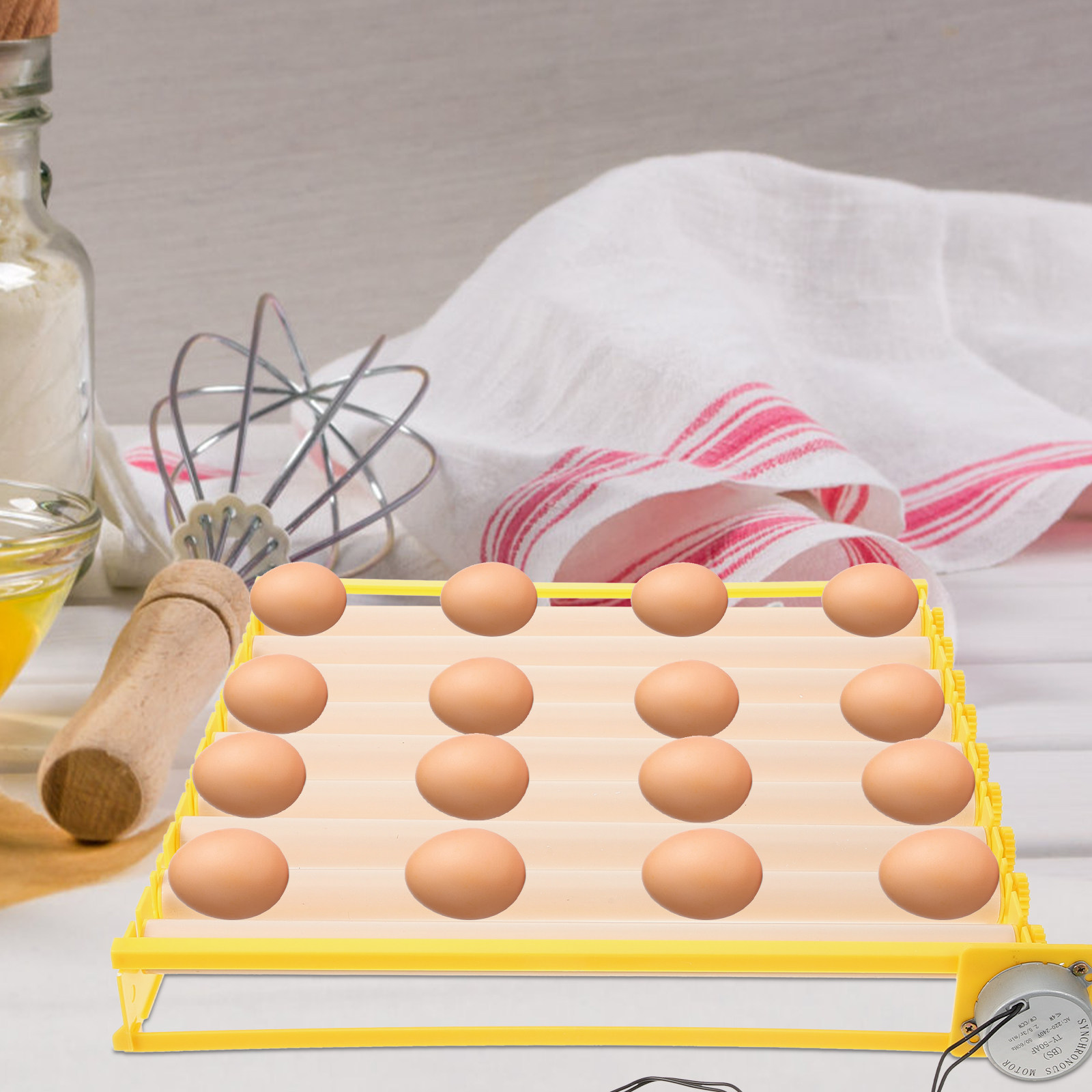 Bandeja automática para ovos d - Quail Egg Incubator avaliação e preço